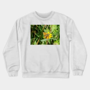 42914 orange butterfly Crewneck Sweatshirt